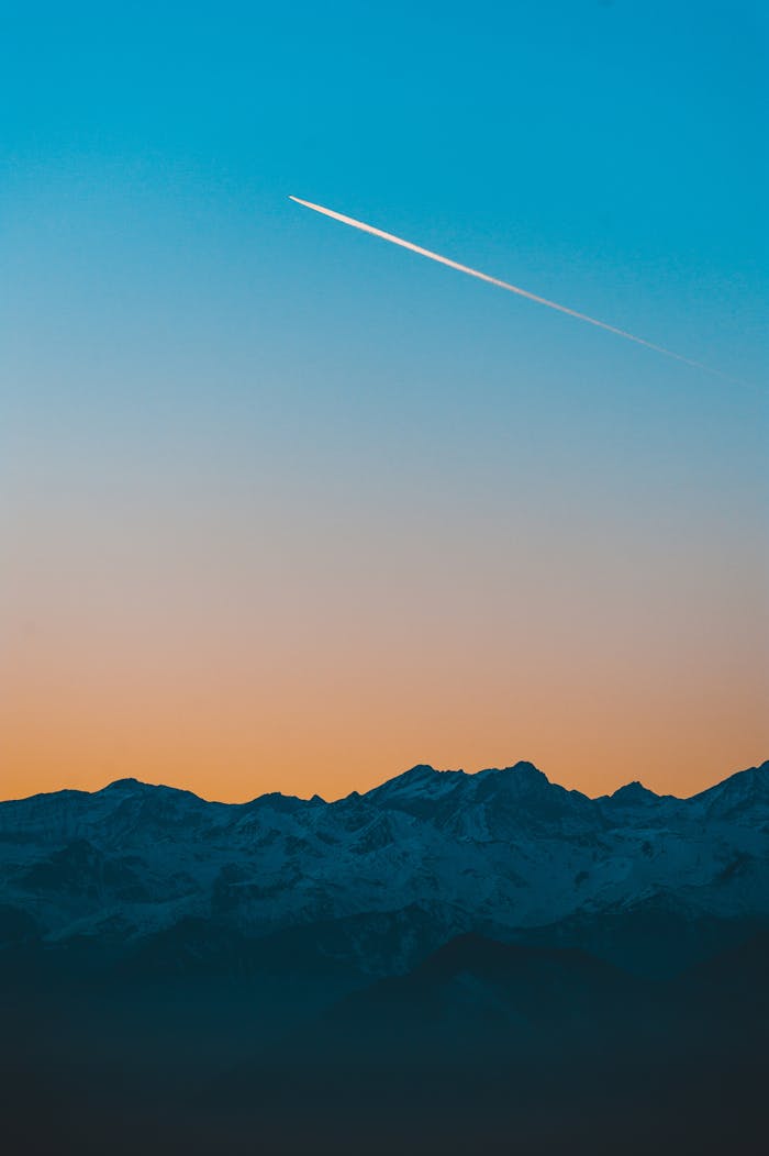 pexels-photo-733409-733409.jpg